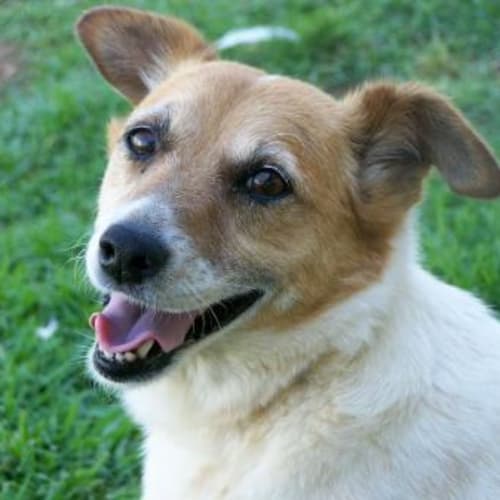 No photo for Jesse And Marty On Hold