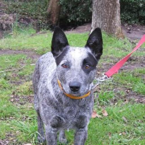 No photo for Jessica