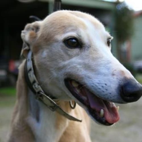 No photo for Charlotte