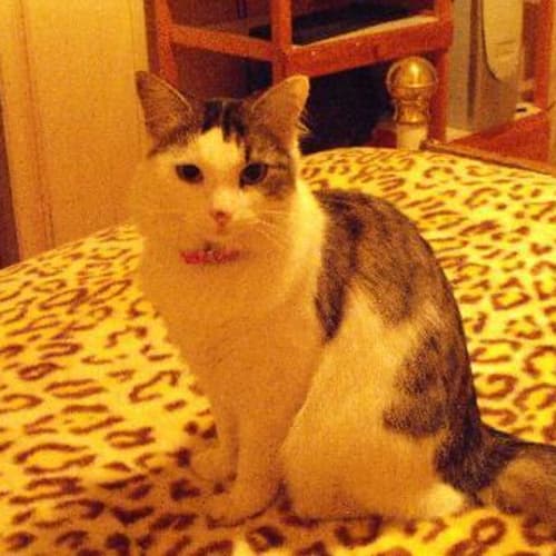 No photo for Sabrina