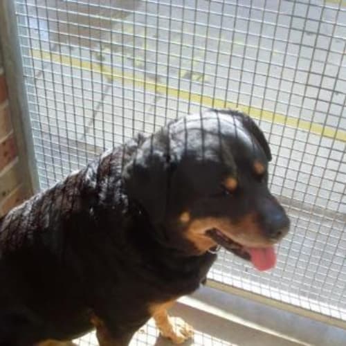 No photo for Dafeena