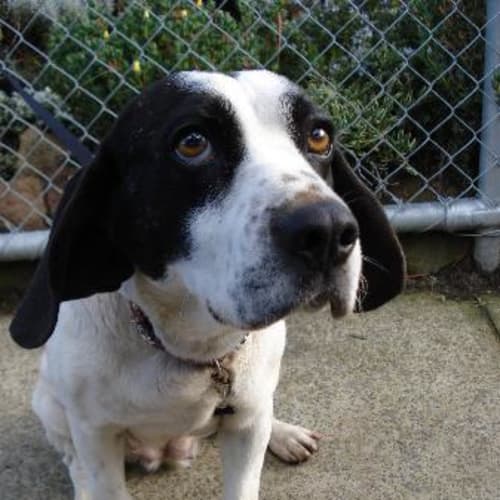 No photo for Roxanne