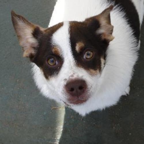 No photo for Wiggles