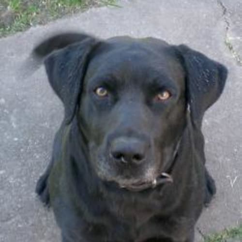 Benson