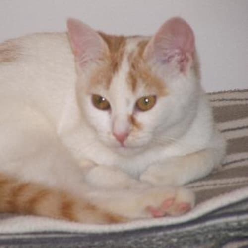 No photo for Matilda