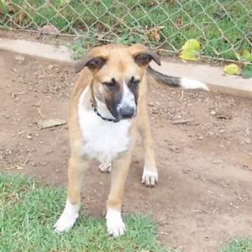 No photo for Billy Bob   I'm On Trial In My New Home