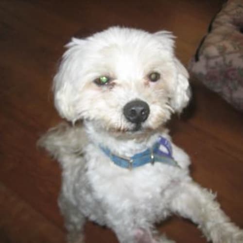 No photo for Zachary