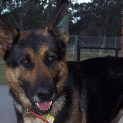 No photo for Jazzi   On Trial With Her New Family