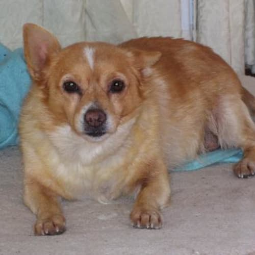 No photo for Bea On Trial