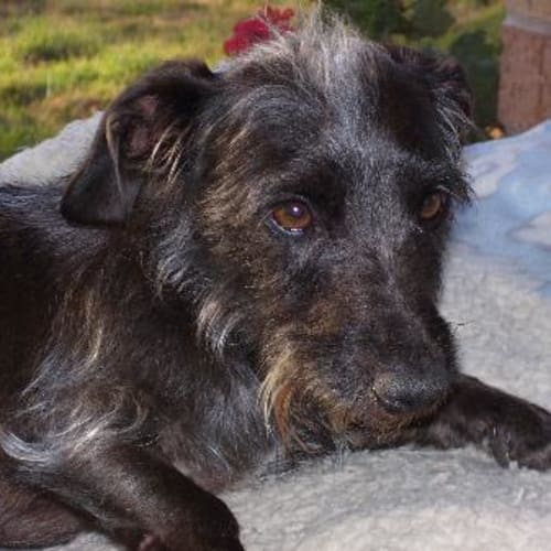 No photo for Archie On Trial