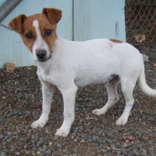 No photo for Romey Urgent