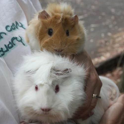 No photo for Butternut And Coconut