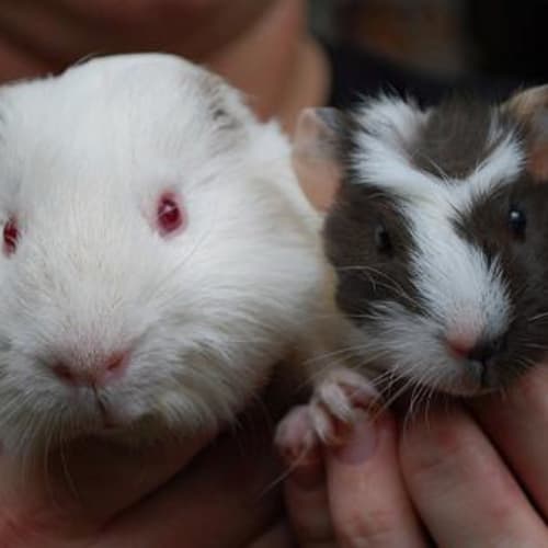 No photo for Sneakers