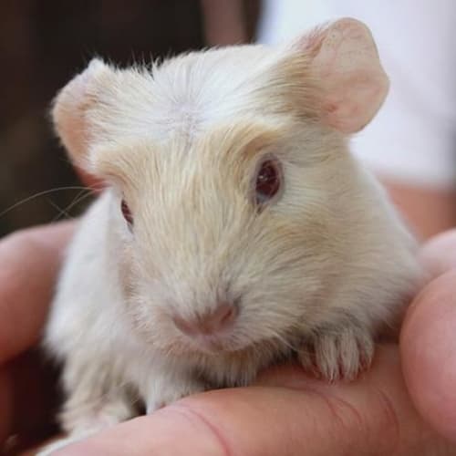 No photo for Billabong