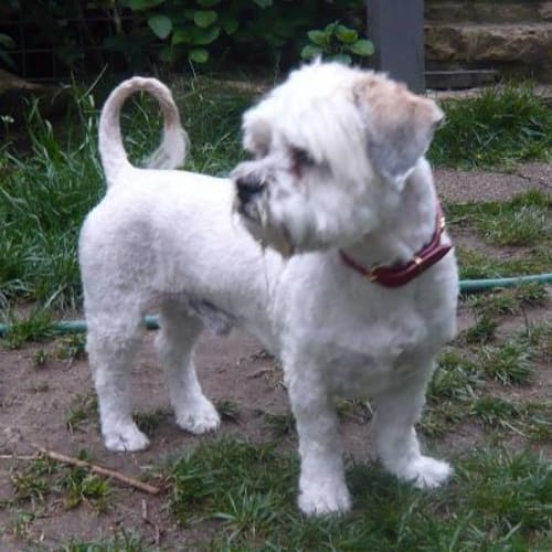 No photo for Magill