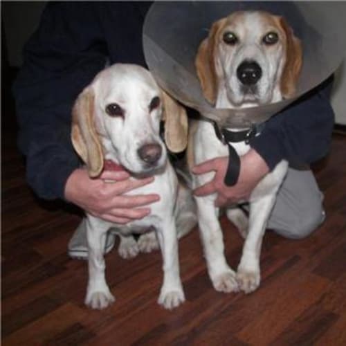No photo for Ernie(on Trial With A Wonderful Family)