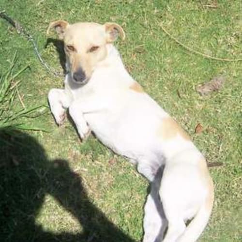 No photo for Mr Oliver