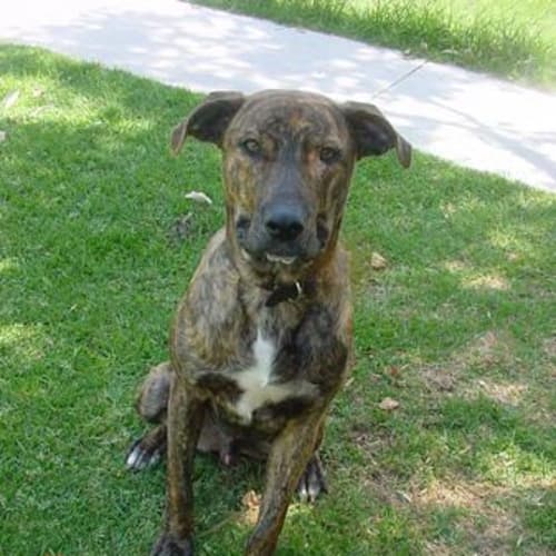 No photo for Zachary