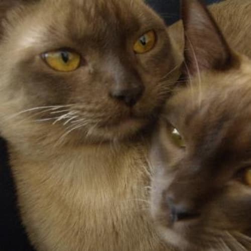 No photo for Sophie & Brannigan