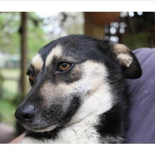 No photo for Sherry   I'm On Trial In My New Home