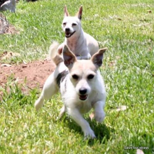 No photo for Eliza & Kimba   We're On Trial In Our New Home