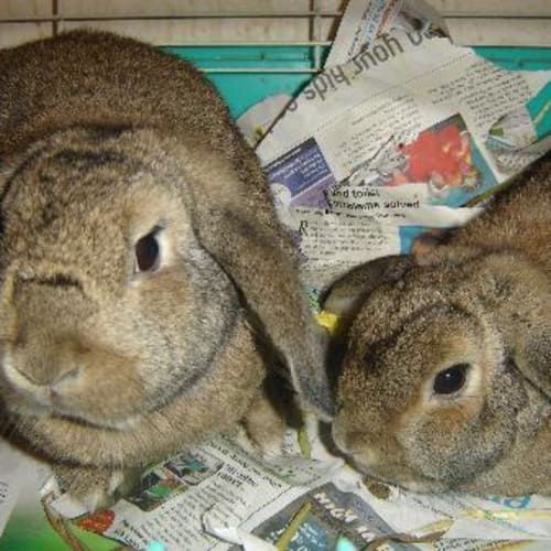 No photo for Harvey And Sabrina