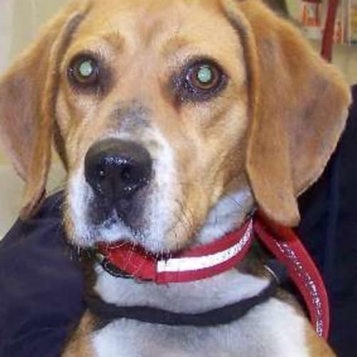 No photo for Ali (On Trial)