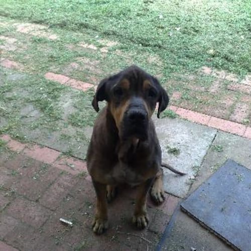 No photo for Jaxx