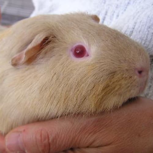 No photo for Winnipeg