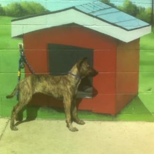 No photo for Imp # K47045