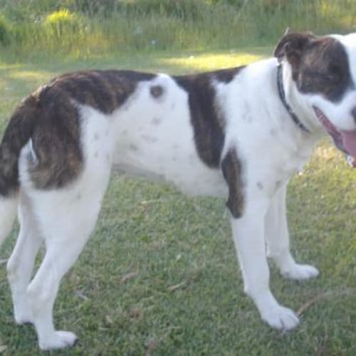 No photo for Sophie On Hold