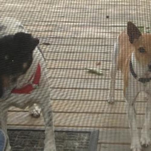 No photo for Missy On Trial