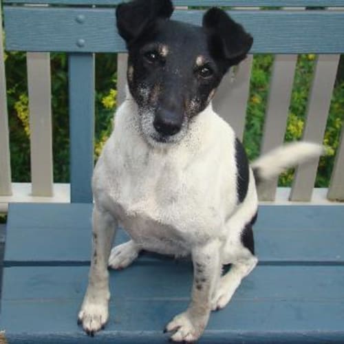 No photo for Sammy On Trial