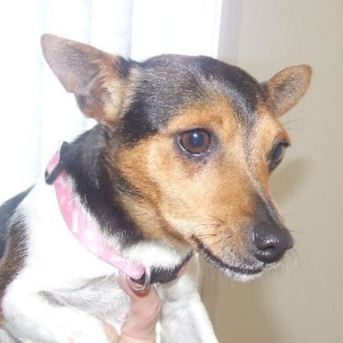 No photo for Jessie On Trial