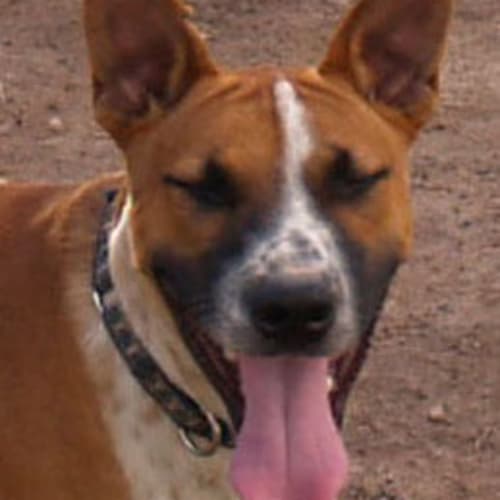 No photo for Max