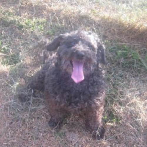 No photo for Zac (On Trial)