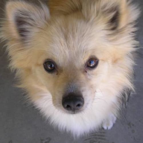 No photo for Bobby   I'm On Trial In My New Home