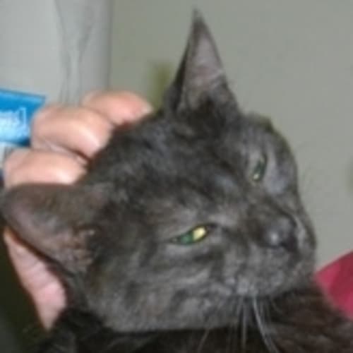 No photo for Lawrence