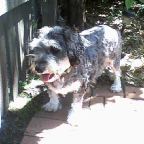 Freddie