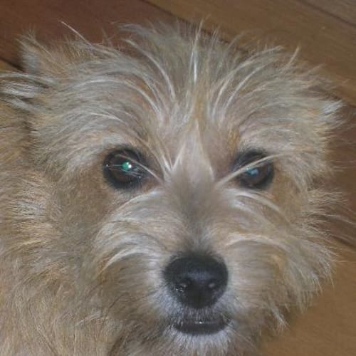 No photo for Rachel (Now Fleur)