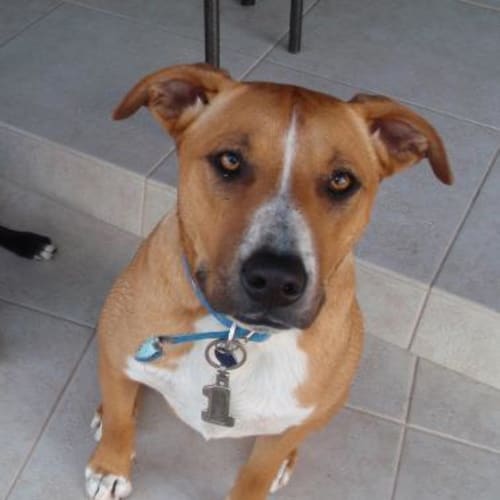 No photo for Charlie