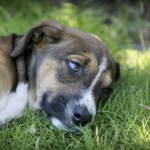 No photo for Tennessee