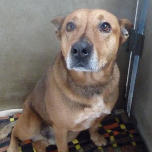 No photo for Charlie