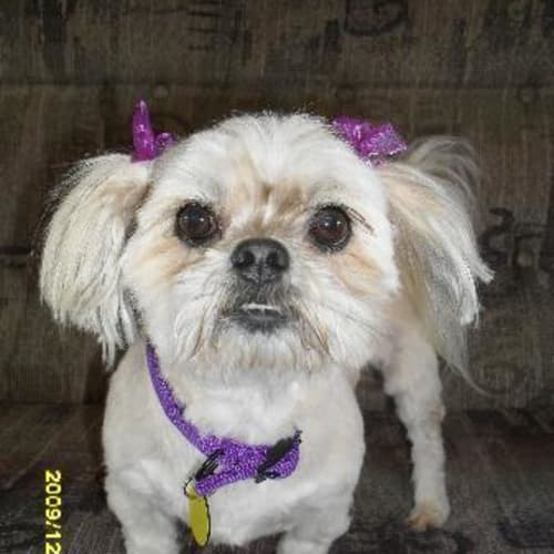 No photo for Kiera