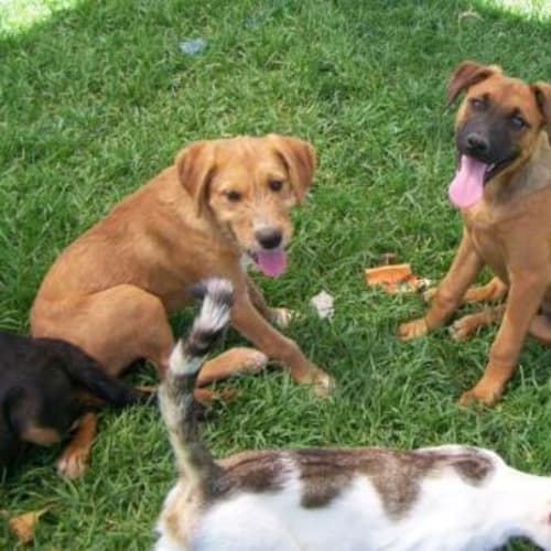 No photo for Jenna Adopted