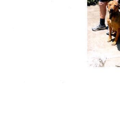 Vacy - Has Gone On Trial With His New Family