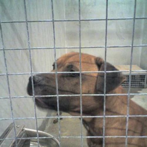 Urgent Again! Marcus!