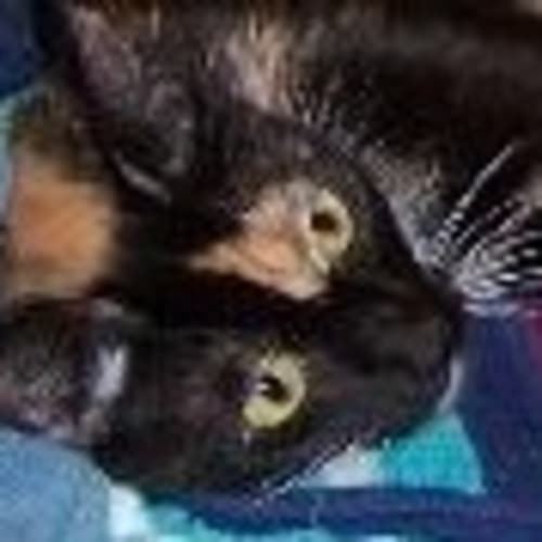 Tabitha