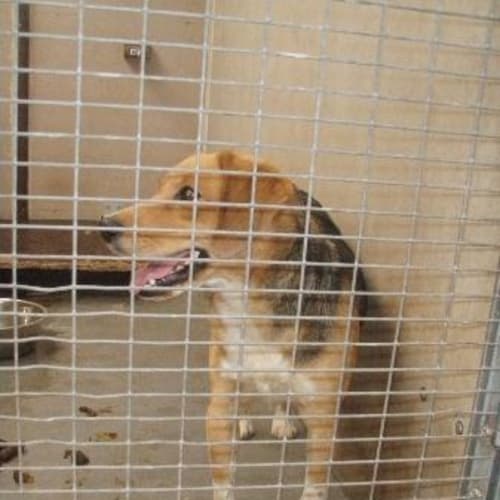 No photo for Urgent! Bonnie
