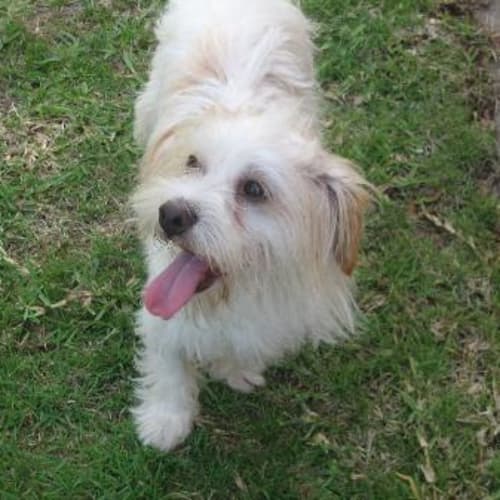 No photo for Matt Pending Adoption